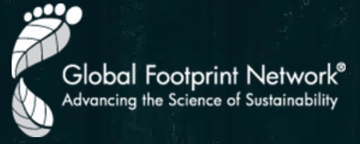 Global Foot Print