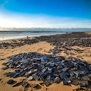 Cell Phones on the Beach