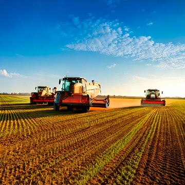Food Production