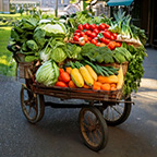 Vegitables