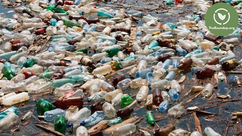 Plastic Bottle Polution